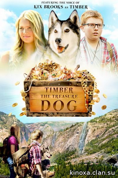 Тимбер – говорящая собака 2016